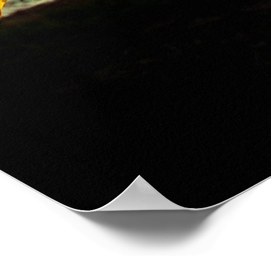 Zonnebloemen Poster (Hoek)