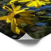 zonnebloemen poster (Hoek)