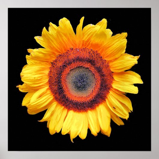 ZONNEBLOEMEN POSTER (Voorkant)