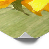 Zonnebloemen Poster (Hoek)