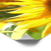 Zonnebloemen Poster (Hoek)