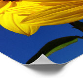 Zonnebloemen Poster (Hoek)