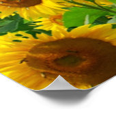 Zonnebloemen Poster (Hoek)