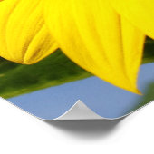 Zonnebloemen Poster (Hoek)