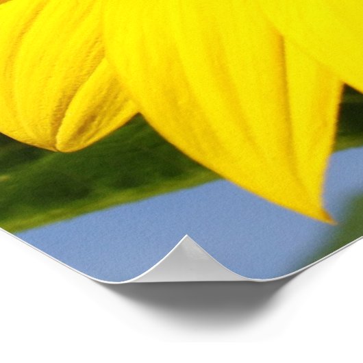 Zonnebloemen Poster (Hoek)