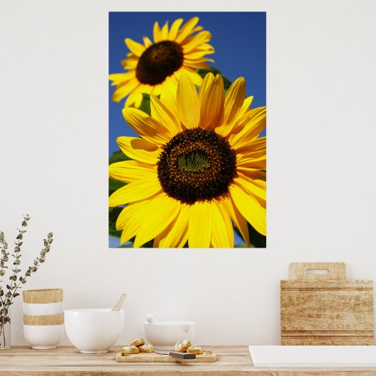 Zonnebloemen Poster (Keuken)