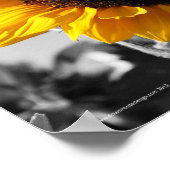 Zonnebloemen Poster (Hoek)