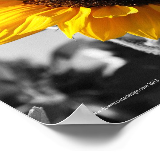 Zonnebloemen Poster (Hoek)
