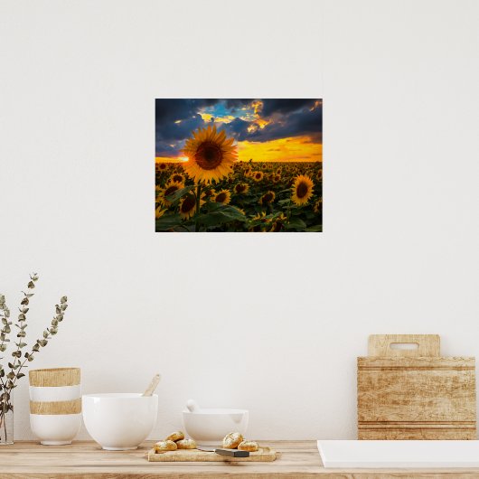 Zonnebloemen Poster (Keuken)