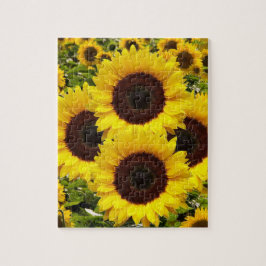 Zonnebloemen Puzzels