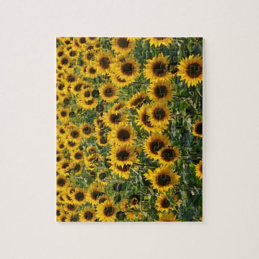 Zonnebloemen — Puzzle Legpuzzel (Verticaal)
