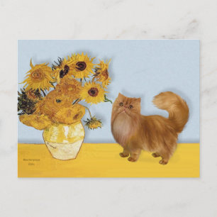Zonnebloemen - Rode Perzische kat Briefkaart