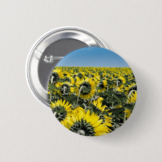 Zonnebloemen Ronde Button 5,7 Cm (Voorkant /achterkant)