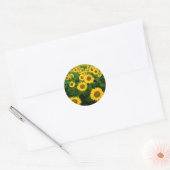 Zonnebloemen Ronde Sticker (Envelop)