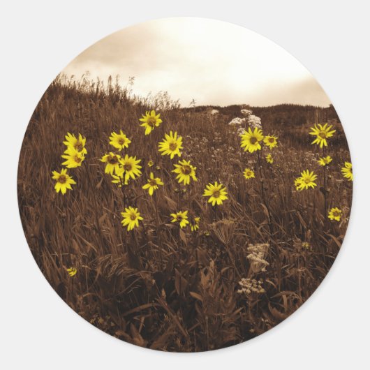 Zonnebloemen Ronde Sticker (Voorkant)