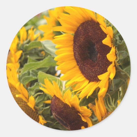 Zonnebloemen Ronde Sticker (Voorkant)