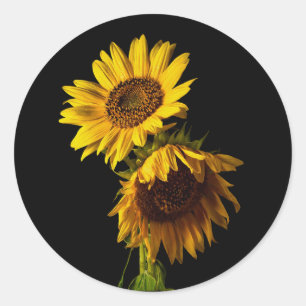 Zonnebloemen ronde sticker
