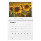 Zonnebloemen & Schriftkalender Kalender (Jan 2027)