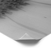 Zonnebloemen Sluiten Zwarte Witte Foto's Poster (Hoek)