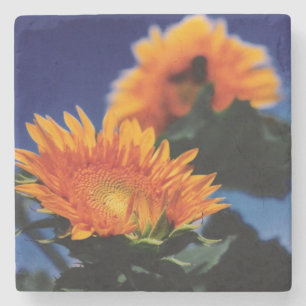 Zonnebloemen Stenen Onderzetter