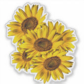 Zonnebloemen  sticker (Voorkant)