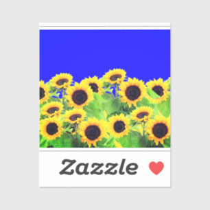 Zonnebloemen Sticker Oekraïense vlag kleuren - Fre