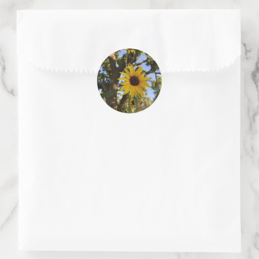 Zonnebloemen Stickers (Tas)