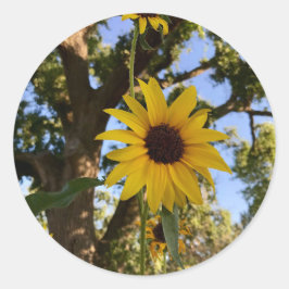 Zonnebloemen Stickers