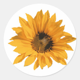 Zonnebloemen Stickers