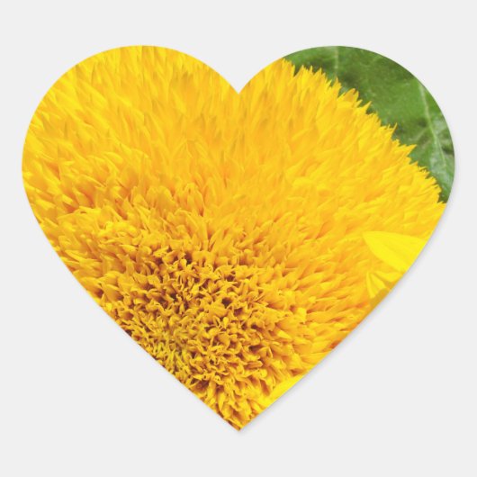 Zonnebloemen Stickers Hartvorm aangepast (Voorkant)