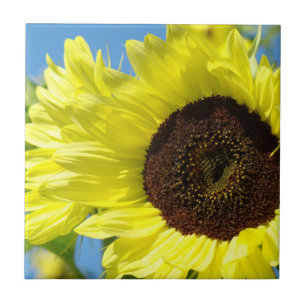 Zonnebloemen tegel kunst cadeaus Gele bloem zonneb Tegeltje