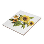 Zonnebloemen Tegeltje<br><div class="desc">Zonnebloemen</div>