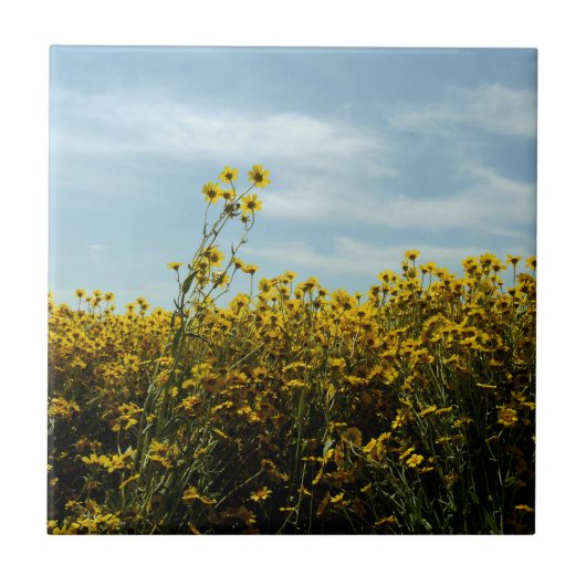 Zonnebloemen Tegeltje (Voorkant)
