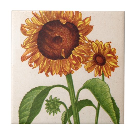 zonnebloemen tegeltje (Voorkant)