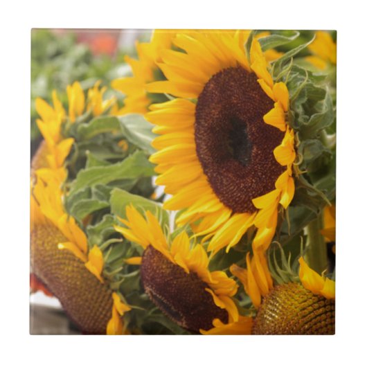 Zonnebloemen! Tegeltje (Voorkant)