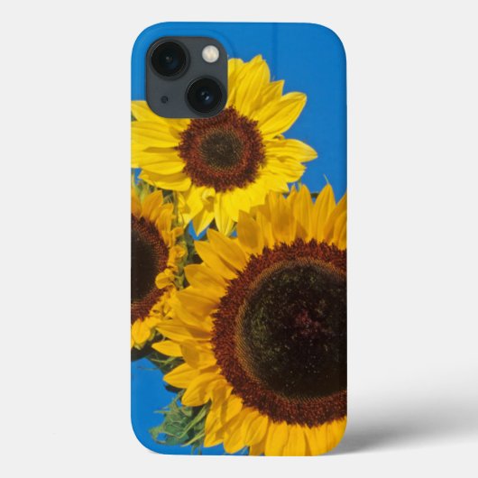 Zonnebloemen tegen blauwe omheining Case-Mate iPhone case (Achterkant)