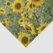 Zonnebloemen Tissuepapier (Detail)