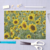 Zonnebloemen Tissuepapier (Craft)