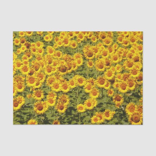 Zonnebloemen Tissuepapier (Voorkant)
