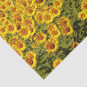 Zonnebloemen Tissuepapier (Detail)