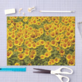 Zonnebloemen Tissuepapier (Craft)