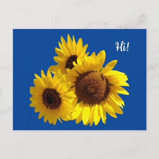 Zonnebloemen uitknippen Foto op Blue Briefkaart (Voorkant)