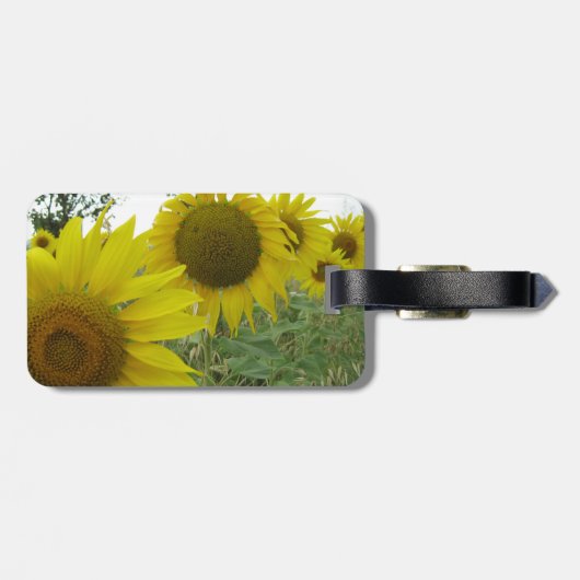 Zonnebloemen veld Bagagelabel w / lederen band (Achterkant horizontaal)