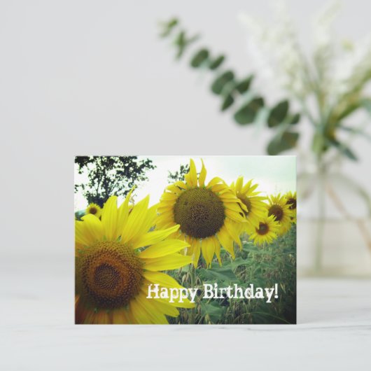 Zonnebloemen veldfoto Gelukkige verjaardagskaart Briefkaart (Staand voorkant)