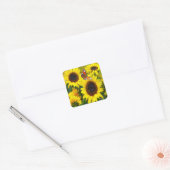 Zonnebloemen Vierkante Sticker (Envelop)