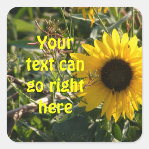 Zonnebloemen Vierkante Sticker