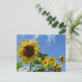 Zonnebloemen & Vlinders Briefkaart (Staand voorkant)