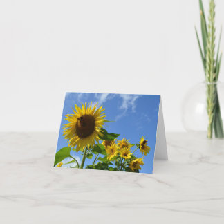 Zonnebloemen & Vlinders Kaart