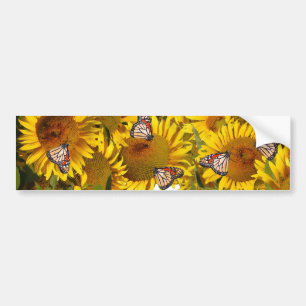 Zonnebloemen Vloerbloemen Florence Bumpersticker