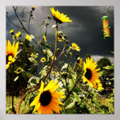 Zonnebloemen voor dramatisch Storm kleuren Foto Poster (Voorkant)